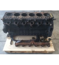 Monoblocco Mercedes benz Axor